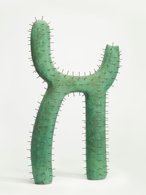 Cactus Cat, 2005