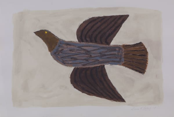 Brown Bird, 2010