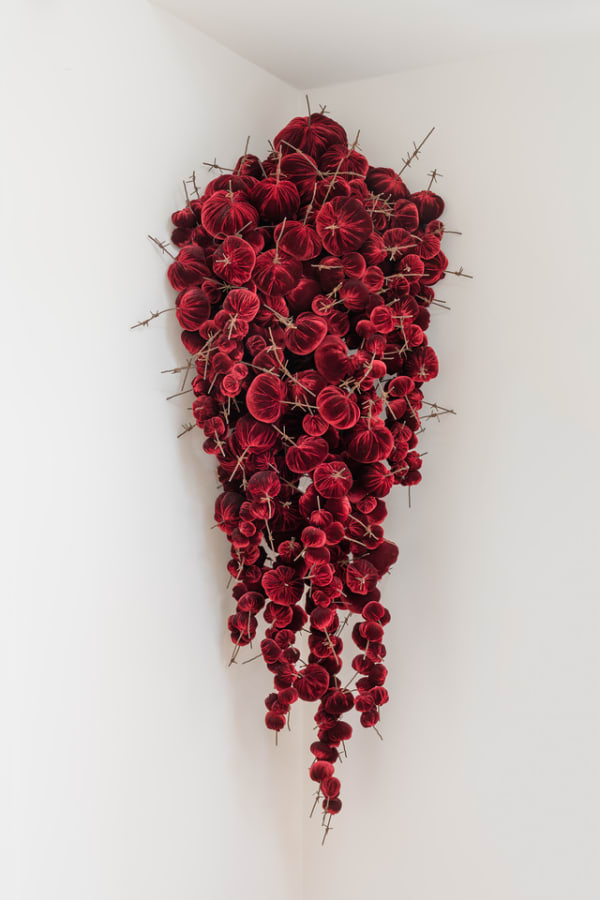 Gathering, 2019
