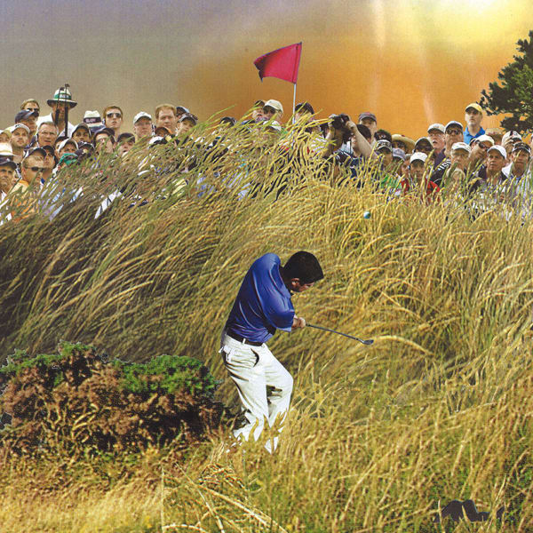 In the Rough, 2015