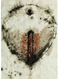 CS6 - Heart Cells Migrating 2, 2013