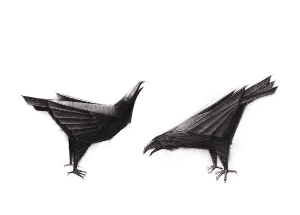 Ravens, c.2011