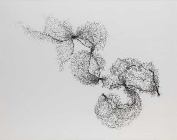 Tied Hairnets No. 2, 2014
