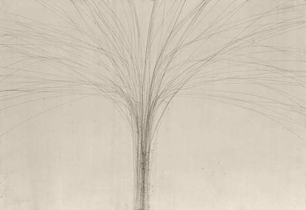 Phloem II, 2008