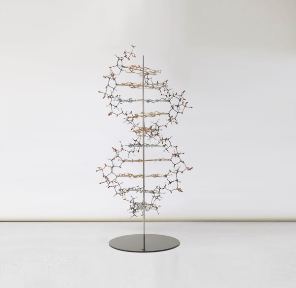 DNA - Helix of Life, 2013