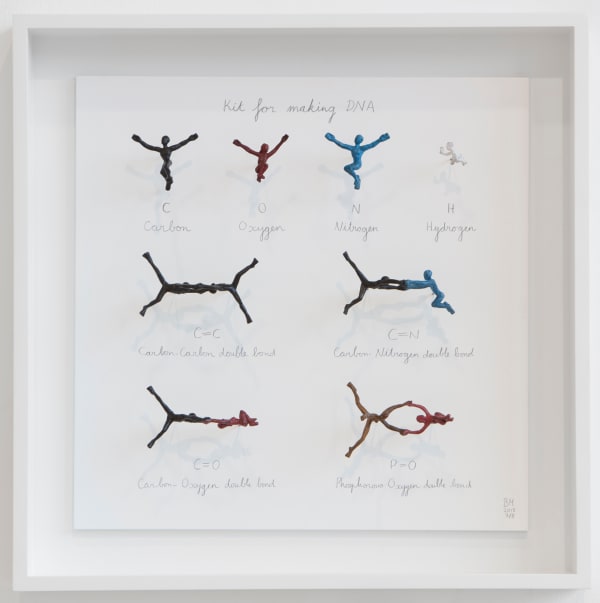 Kit for Making DNA, 2013