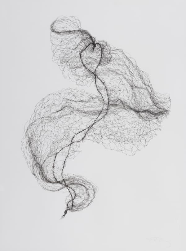 Susie MacMurray Small Hairnet Drawing II, 2024 Ink on paper 83 x 63 x 2 cm (Framed) 32 5/8 x 24 3/4 x 3/4 in Unique