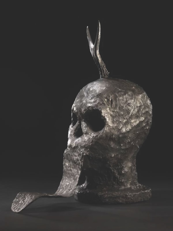 David Bailey, Shoe Tongue, 2008