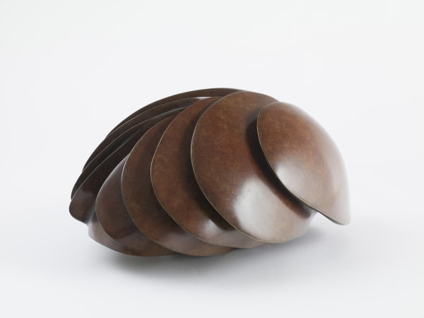 Multiple Carapace, 2016