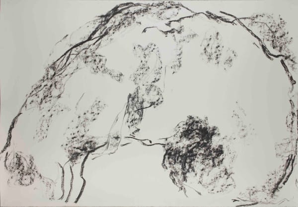 William Tucker RA Study For Tauromachy, 2007 Charcoal on paper 84.5 x 119 x 4.5 cm (Framed) 33 1/4 x 46 7/8 x 1 3/4 in Unique