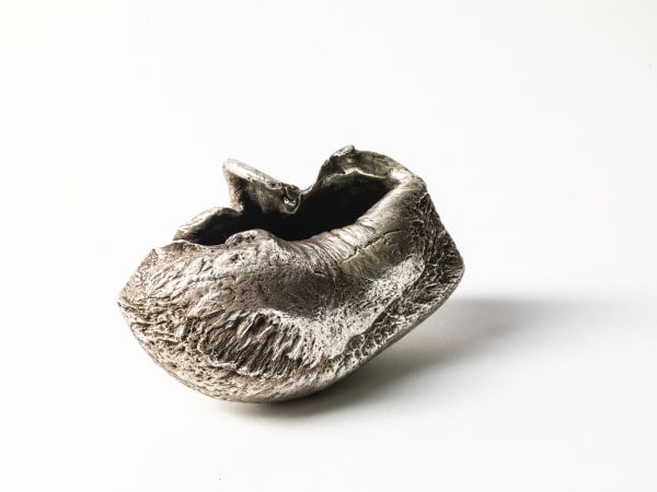 Steve Dilworth, Deepwater, 2009