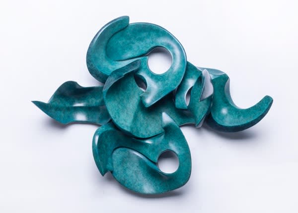 Multiple Carapace in Five Pieces, 2019