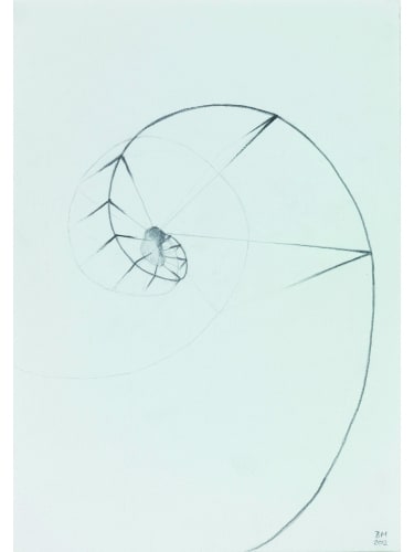 Briony Marshall Embryo Spiral, 2012 Graphite 38 x 28 x 4 cm 15 x 11 1/8 x 1 5/8 in Unique
