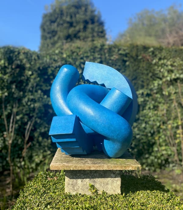 Patricia Volk, Cog, 2020