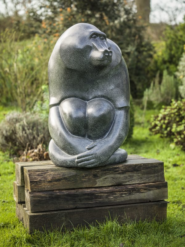 Baboon, 2010