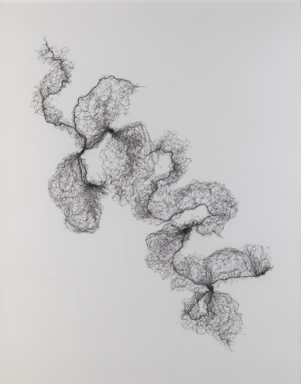 Tied Hairnets No. 3, 2014