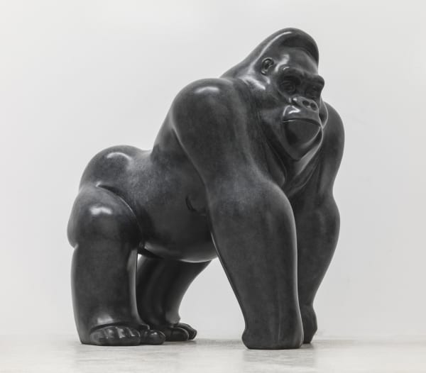 Large Gorilla