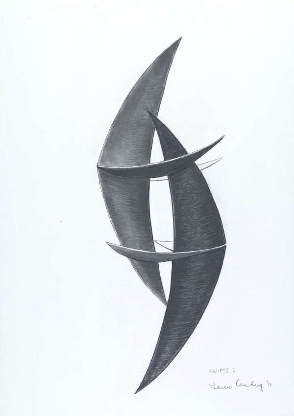 Swifts I, 2013