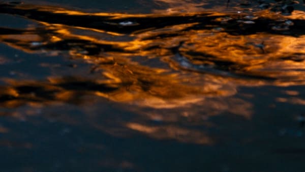 Firestack, reflection, Winter, 2017