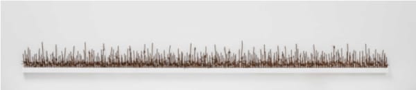 Hold the Line, 2016