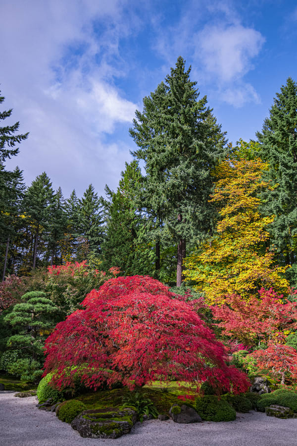 Paul Gruner, Autumn Perfection