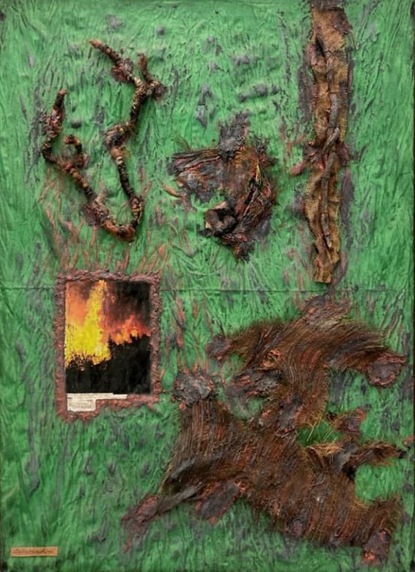 Delba Marcolini, Forest Fire, 1990