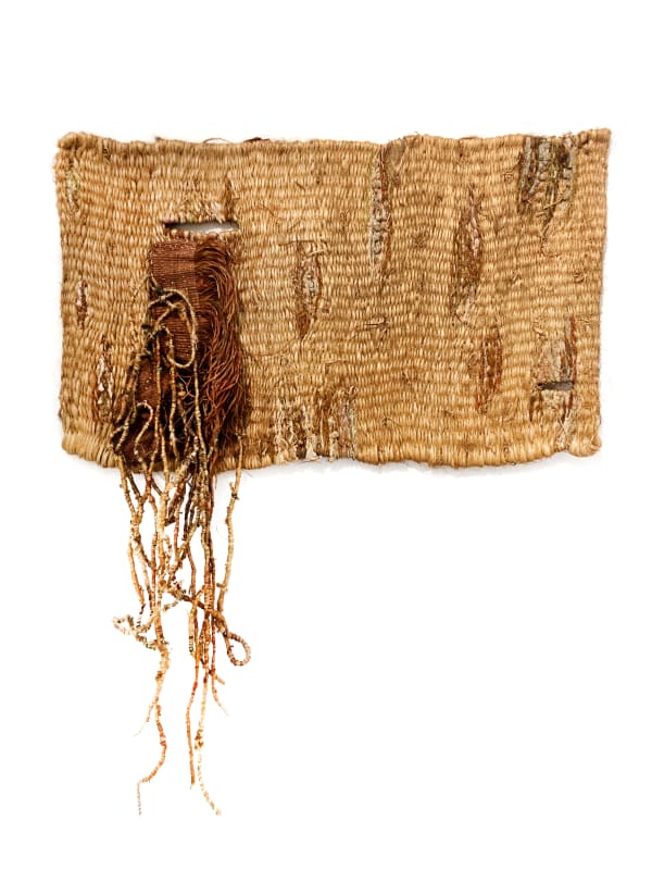 Delba Marcolini, Guaranis, 1980