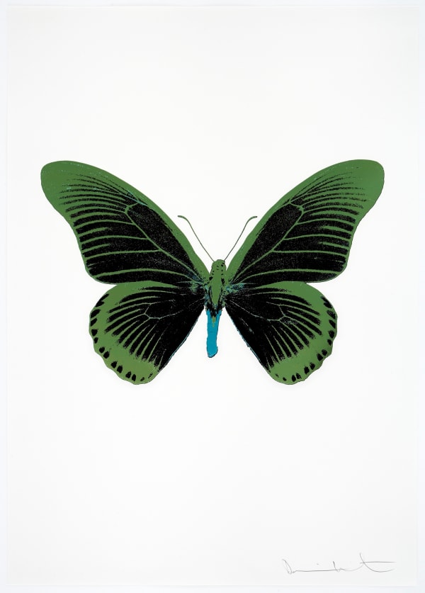 Damien Hirst The Souls IV - Raven Black/Leaf Green/Topaz Damien Hirst butterfly foil print for sale Damien Hirst print for sale , 2010 3 colour foil block on 300gsm Arches 88 archival paper. Signed and numbered. Published by Paul Stolper and Other Criteria 72 x 51cm OC8038 / 1418-61 Edition of 15