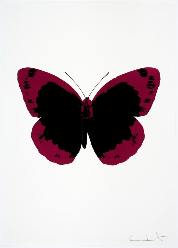 Damien Hirst The Souls II - Raven Black/Fuchsia Pink/Blind Impression, 2010 2 colour foil block on 300gsm Arches 88 archival paper. Signed and numbered. Published by Paul Stolper and Other Criteria 72 x 51cm OC7885 / 658-68 Edition of 15