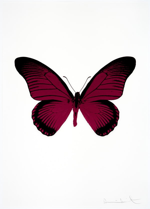 Damien Hirst, The Souls IV - Fuchsia Pink/Raven Black, 2010