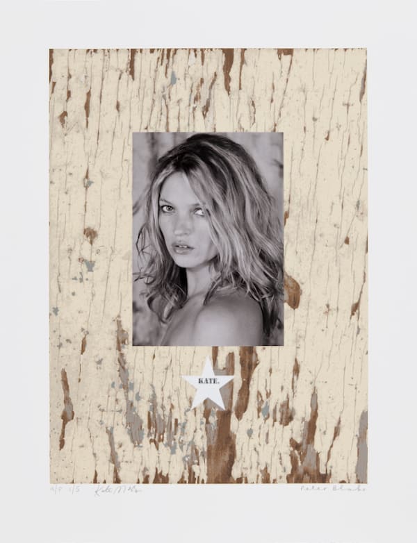 Peter Blake, KATE., 2010