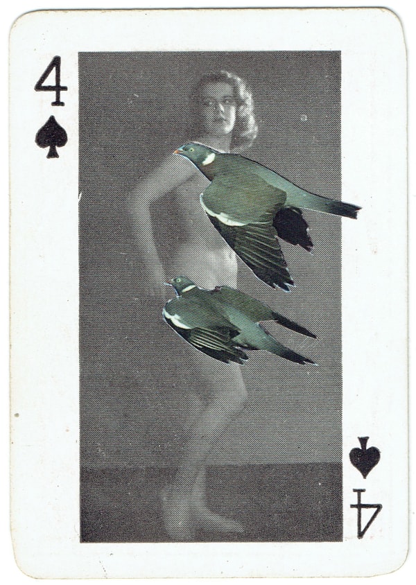 Sarah Hardacre, Four of Spades Wood Pigeon, 2016