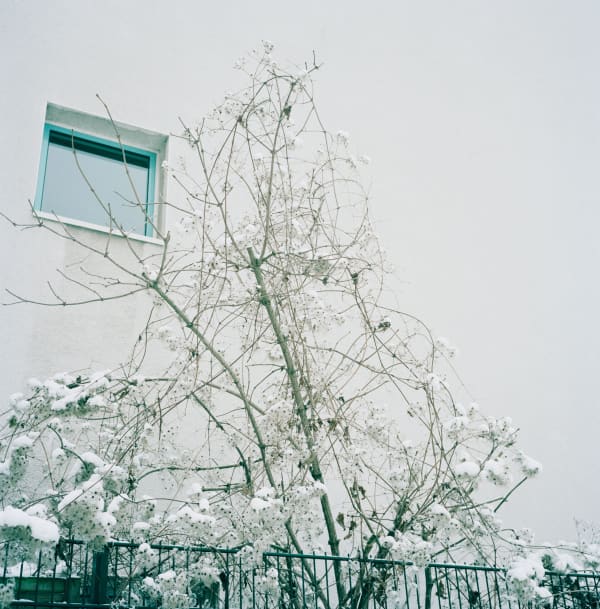 Susannah Baker-Smith, 'Another Living Soul' 73, 2020