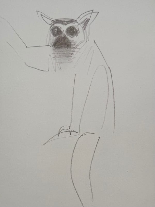 Susie Hamilton, Lemur, 2023