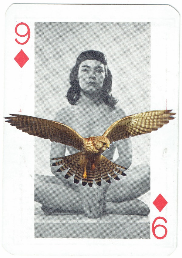 Sarah Hardacre, Nine of Diamonds Kestral, 2016