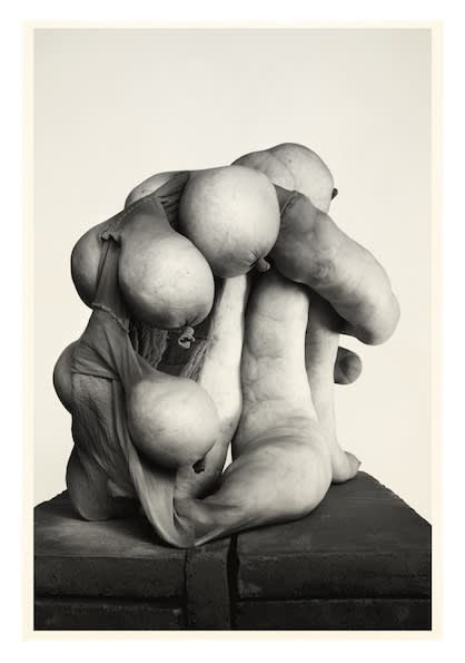 Julian Simmons, REALIDAD 2, 2014