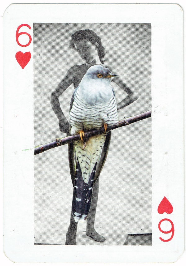 Sarah Hardacre, Six of Hearts Cuckoo, 2016