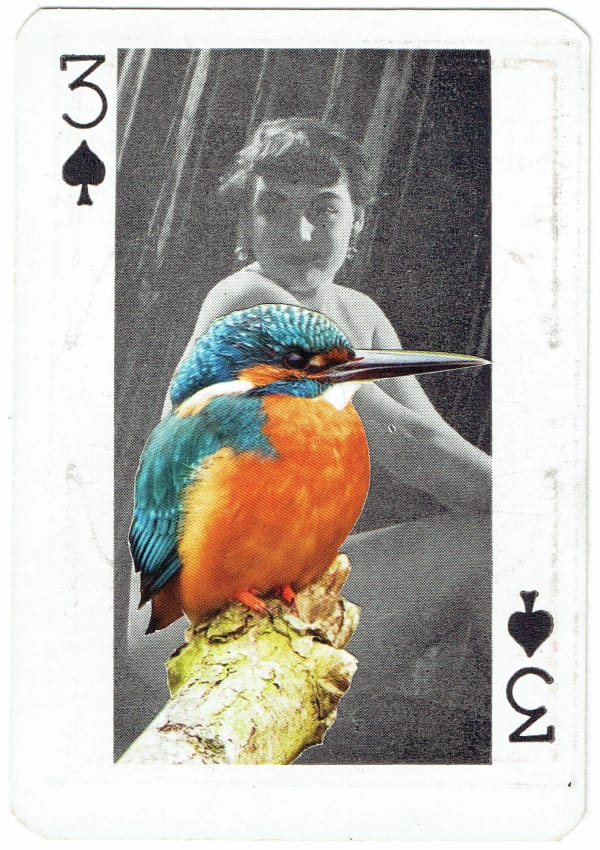 Sarah Hardacre, Three of Spades Kingfisher, 2016