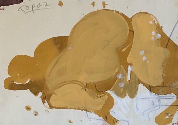 Susie Hamilton, Topaz, 2006