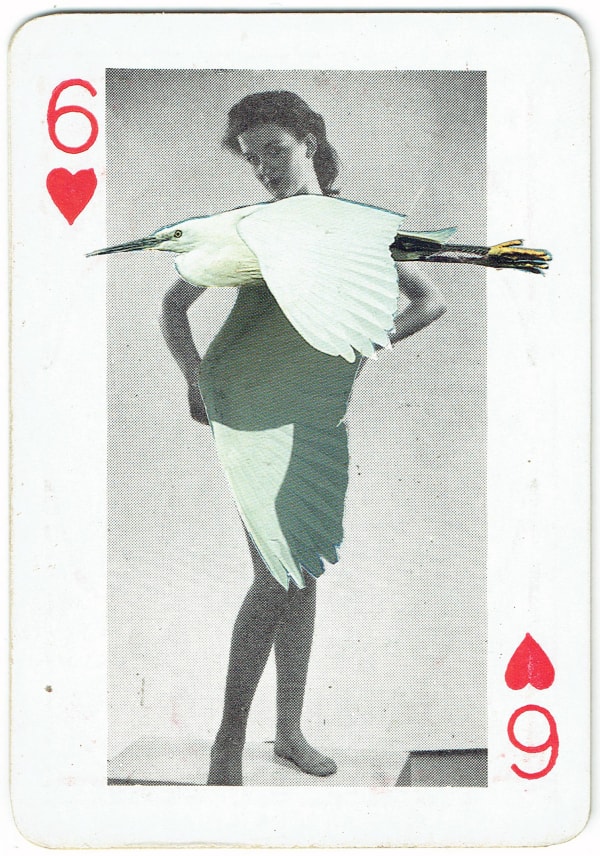 Sarah Hardacre, Six of Hearts Little Egret, 2016