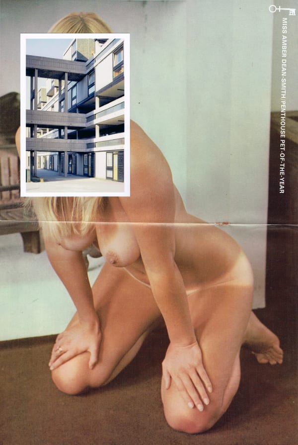 Sarah Hardacre, 'Tradition Has It that Man does Better to Rely on Evidence of His Eyes and the Judgement of His More Prosaic Senses', 2020