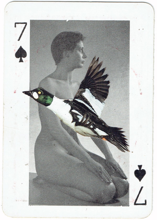 Sarah Hardacre, Seven of Spades Goldeneye, 2016