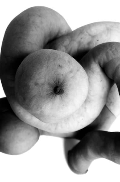 Julian Simmons, OAXACA NUD 1, 2014