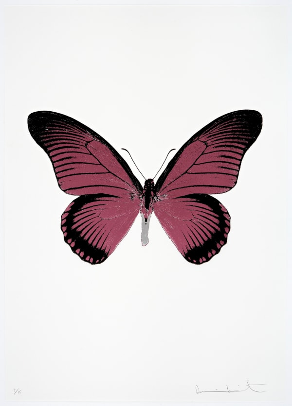 Damien Hirst The Souls IV - Loganberry Pink/Raven Black/Silver Gloss Damien Hirst butterfly foil print for sale Damien Hirst print for sale , 2010 3 colour foil block on 300gsm Arches 88 archival paper. Signed and numbered. Published by Paul Stolper and Other Criteria 72 x 51cm OC8011 / 1418-34 Edition of 15