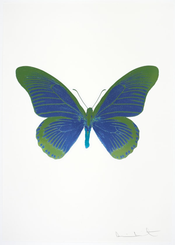 Damien Hirst The Souls IV - Frost Blue/Leaf Green/Topaz Damien Hirst butterfly foil print for sale Damien Hirst print for sale , 2010 3 colour foil block on 300gsm Arches 88 archival paper. Signed and numbered. Published by Paul Stolper and Other Criteria 72 x 51cm OC8055 / 1418-78 Edition of 15