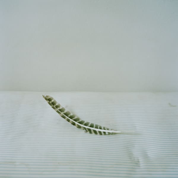 Susannah Baker-Smith, 'Another Living Soul' 78, 2020