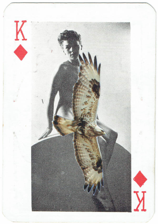 Sarah Hardacre, Kind of Diamonds Rough-legged Buzzard, 2016