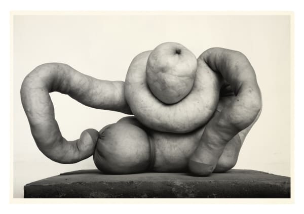 Julian Simmons, OAXACA NUD 2, 2014