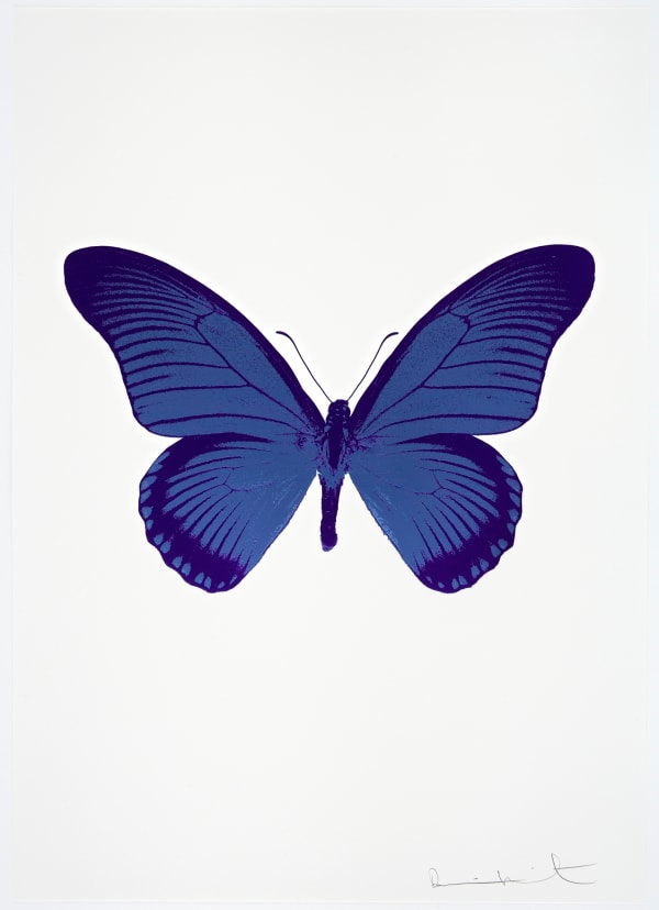 Damien Hirst The Souls IV - Frost Blue/Imperial Purple/Imperial Purple Damien Hirst butterfly foil print for sale Damien Hirst print for sale , 2010 3 colour foil block on 300gsm Arches 88 archival paper. Signed and numbered. Published by Paul Stolper and Other Criteria 72 x 51cm OC8027 / 1418-50 Edition of 15