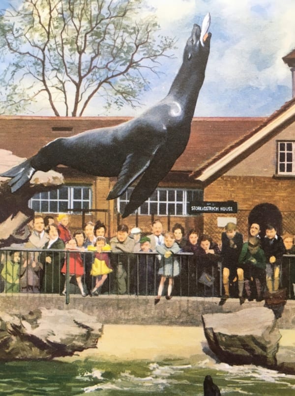 John Berry, ladybird illustration London Zoo feeding the sea lions, 1961